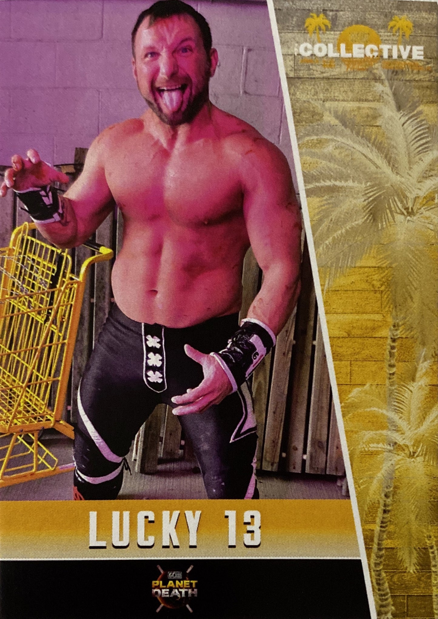 Lucky 13