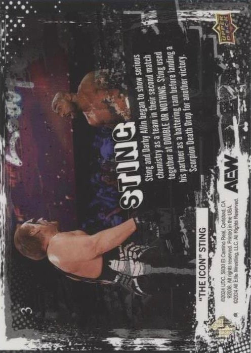 5/30/25 – Sting and Darby Allin Scored Their Second Win AS a Team at Double or Nothing