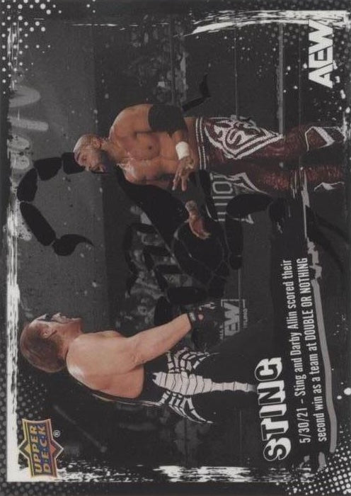 5/30/25 – Sting and Darby Allin Scored Their Second Win AS a Team at Double or Nothing