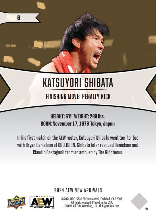 Katsuyori Shibata
