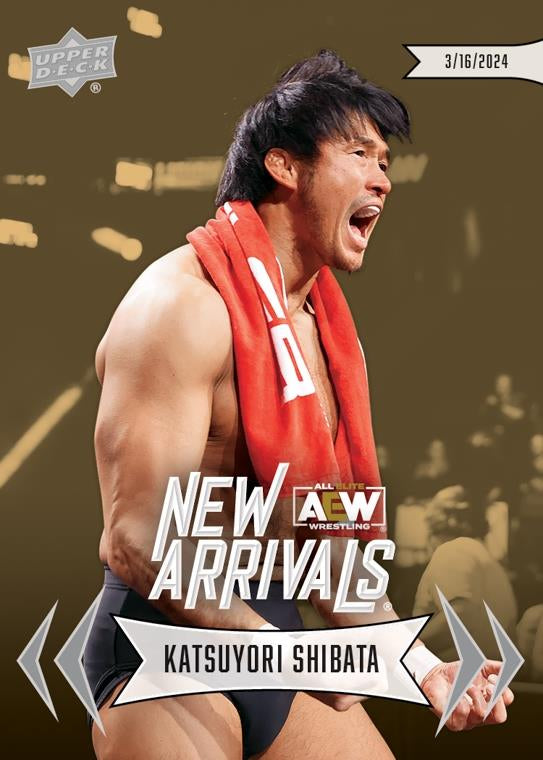 Katsuyori Shibata