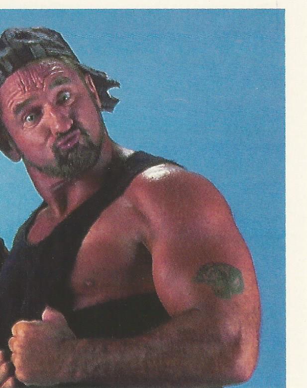 WWF Merlin Stickers 1992 Bushwhackers #180