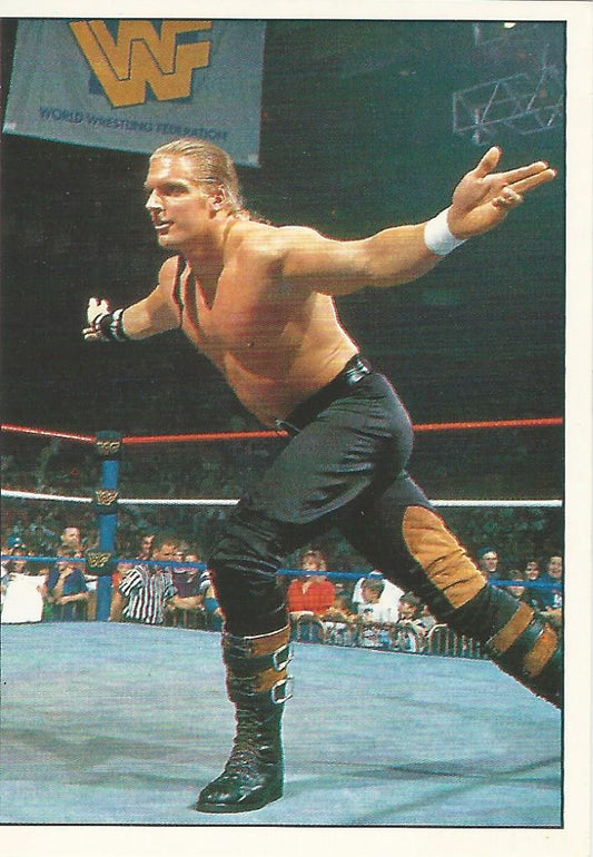 WWF Panini 1995 Sticker Collection Triple H #181