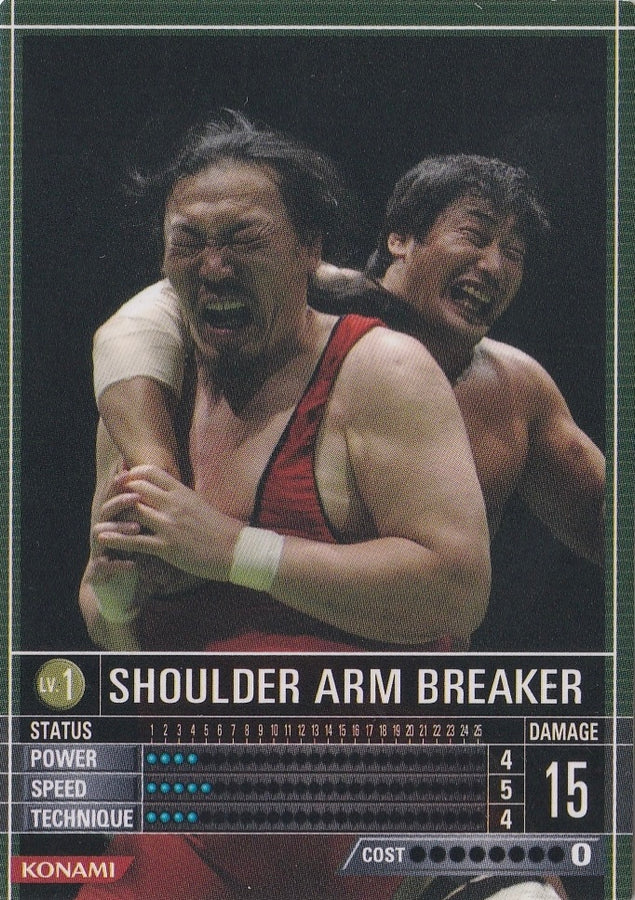Shoulder Arm Breaker