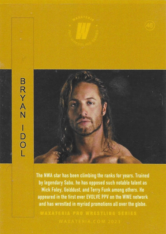 Bryan Idol - image 2