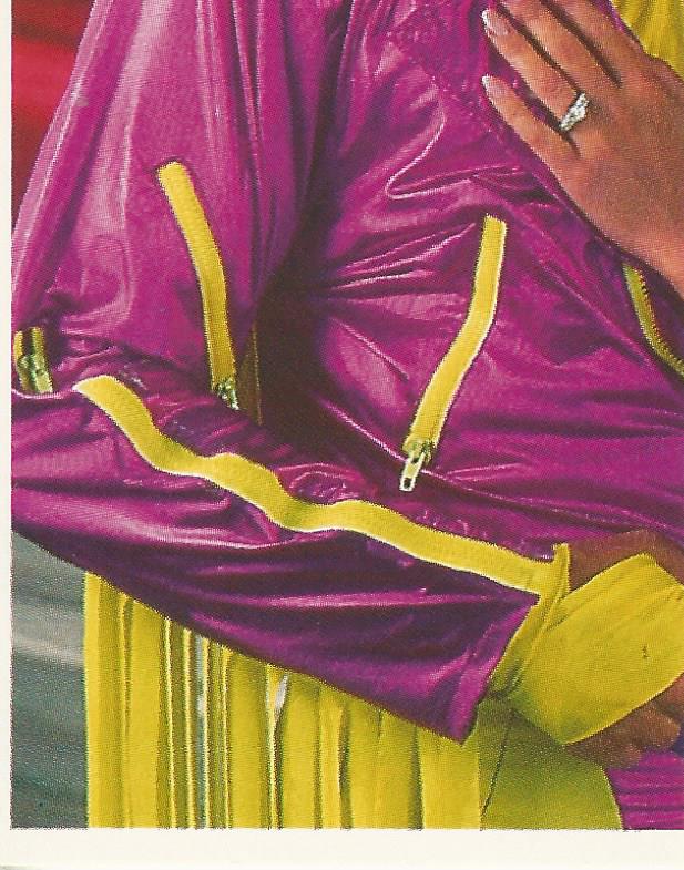 WWF Merlin Stickers 1991 Macho Man Randy Savage #182