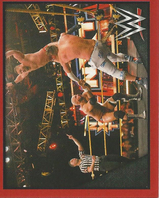 WWE Topps Then Now Forever 2016 Stickers The Revival #182