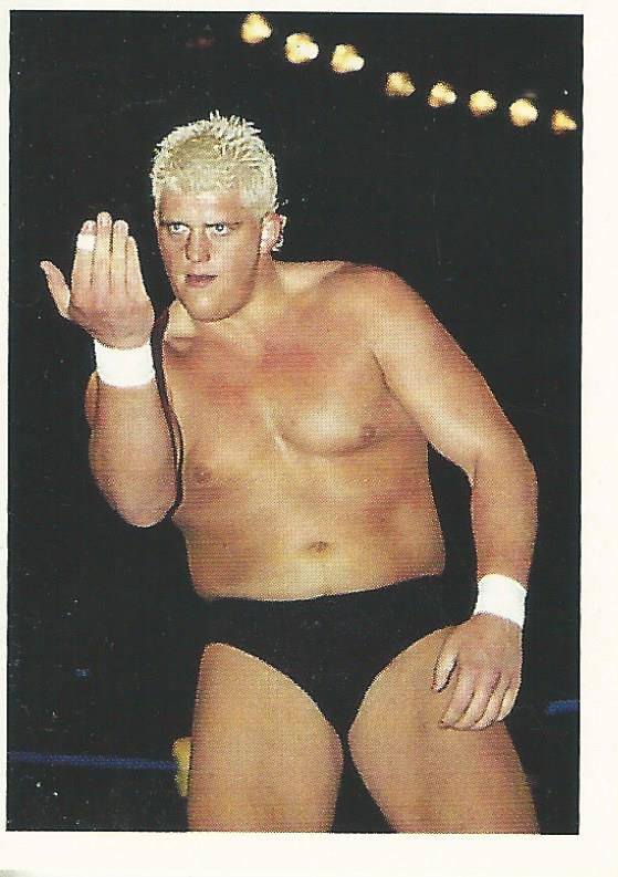 WCW Euroflash 1992 Sticker Dustin Rhodes #183