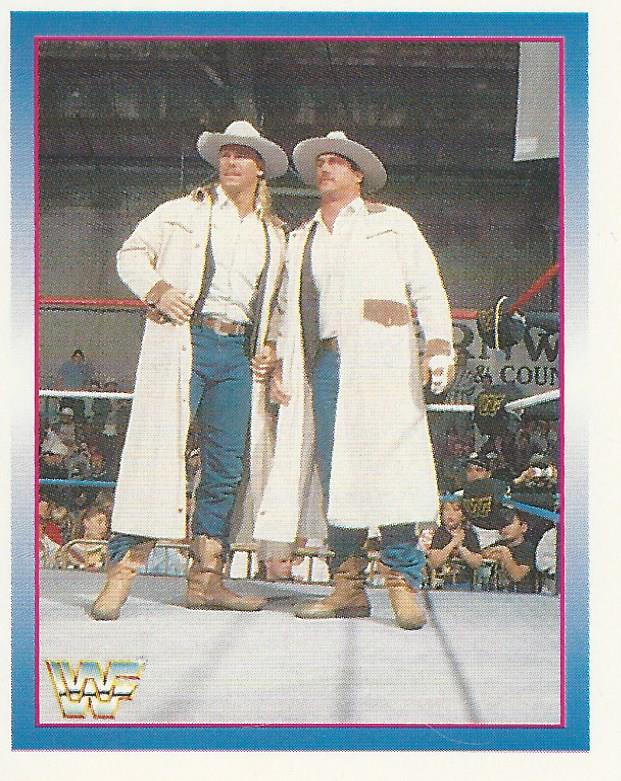 WWF Merlin Stickers 1995 Smoking Gunns #184