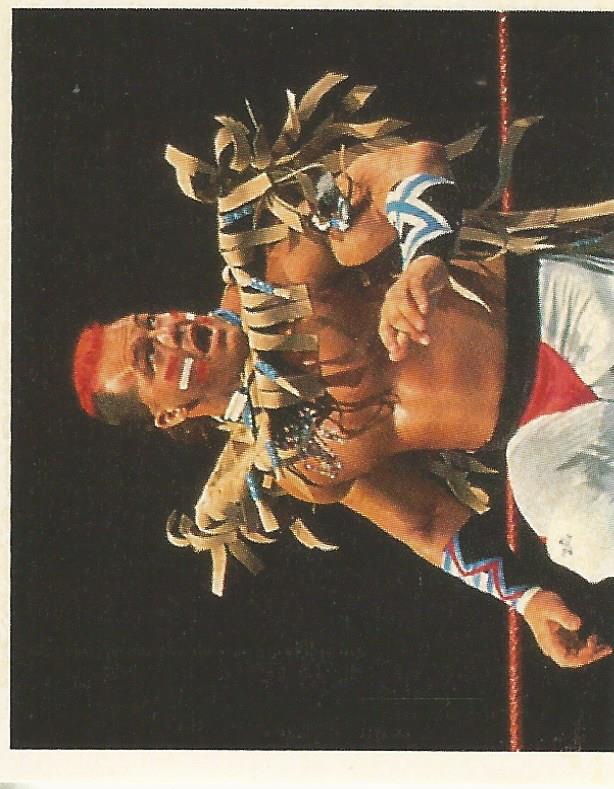 WWF Merlin Stickers 1992 Tatanka #184