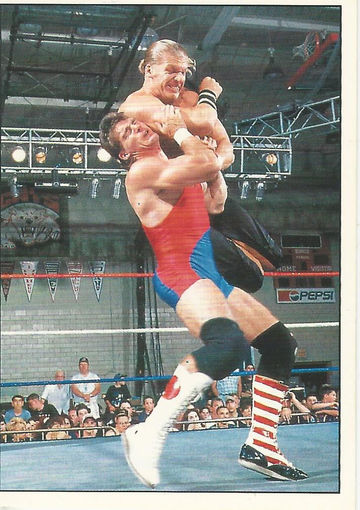 WWF Panini 1995 Sticker Collection Triple H #184