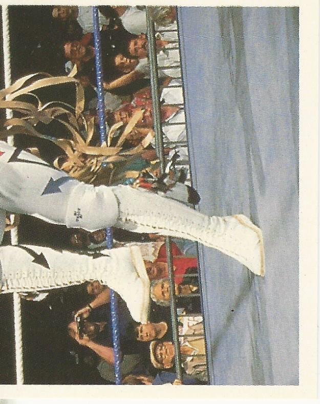 WWF Merlin Stickers 1992 Tatanka #185