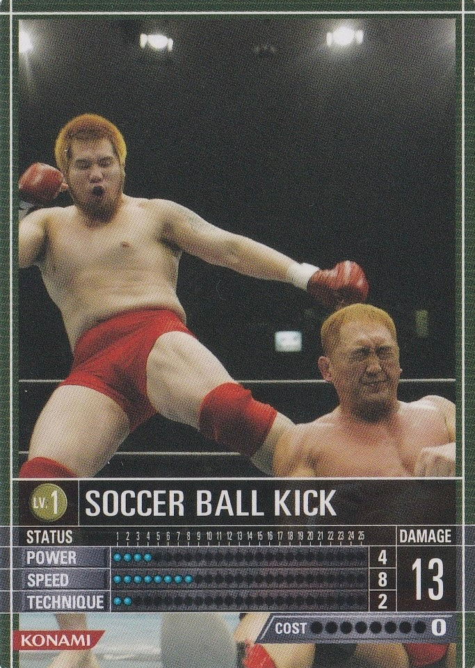 Soccer Ball Kick
