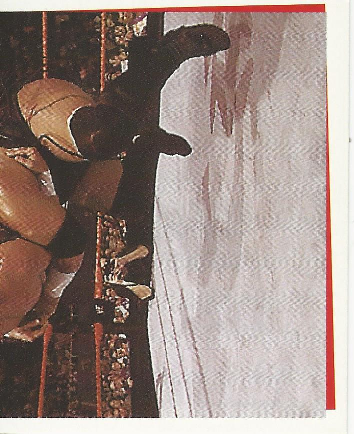 WWF Smackdown Stickers 2000 Rikishi #186