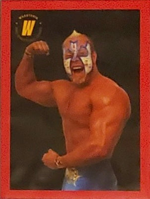 Sage Strong trading card PW Catalog