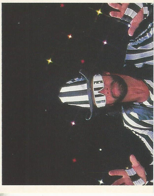 WWF Merlin Stickers 1991 Macho Man Randy Savage #187