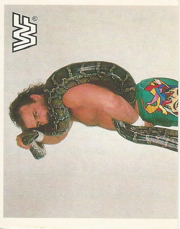 WWF Merlin Sticker Collection 1990 Jake the Snake Roberts #187