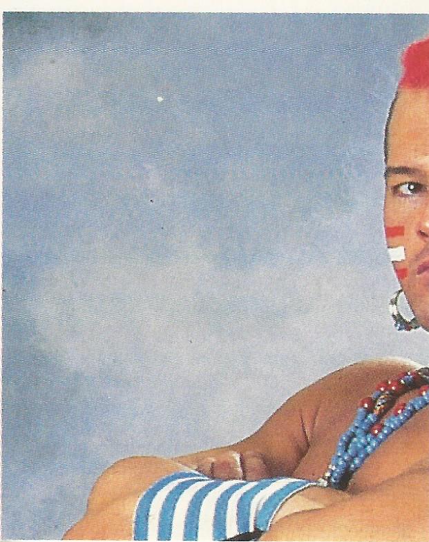 WWF Merlin Stickers 1992 Tatanka #187