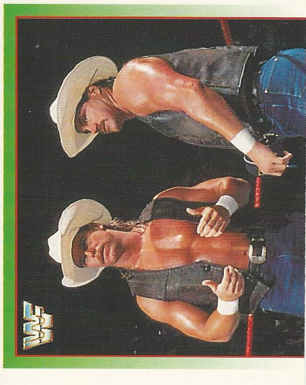 WWF Merlin Stickers 1995 Smoking Gunns #187