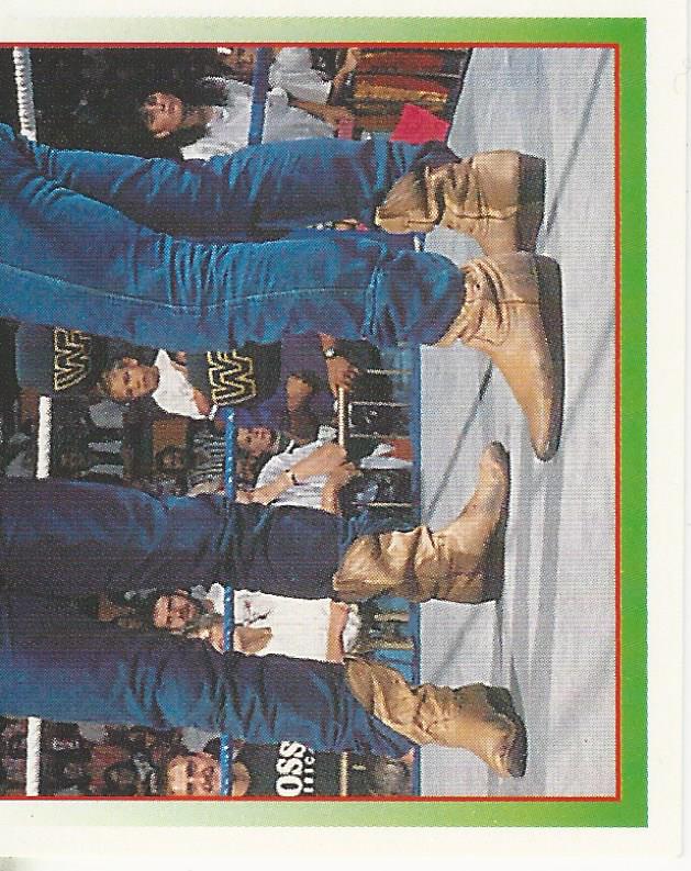 WWF Merlin Stickers 1995 Smoking Gunns #188