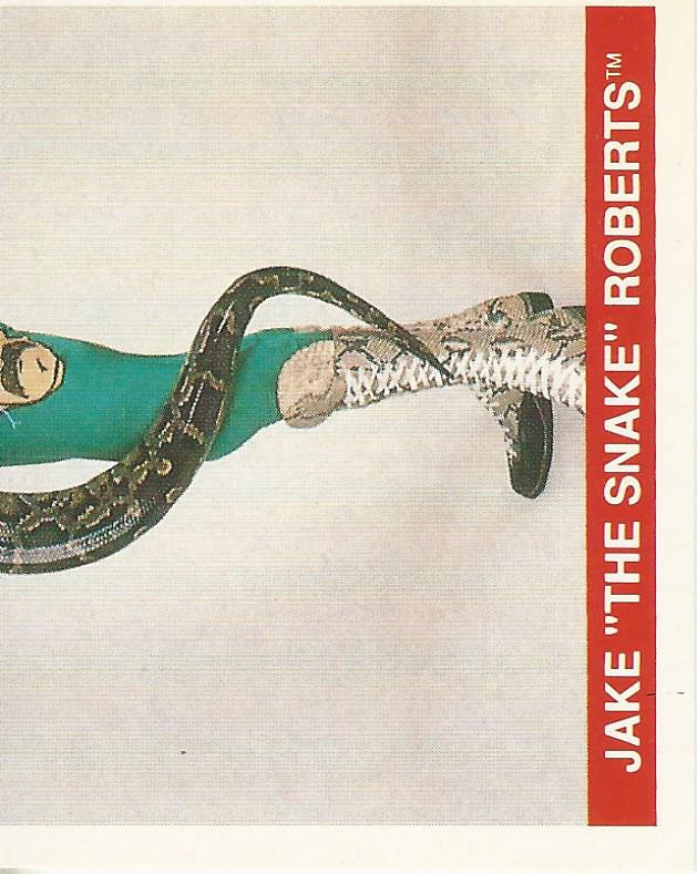 WWF Merlin Sticker Collection 1990 Jake the Snake Roberts #188