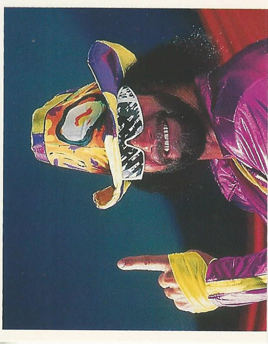 WWF Merlin Stickers 1991 Macho Man Randy Savage #189