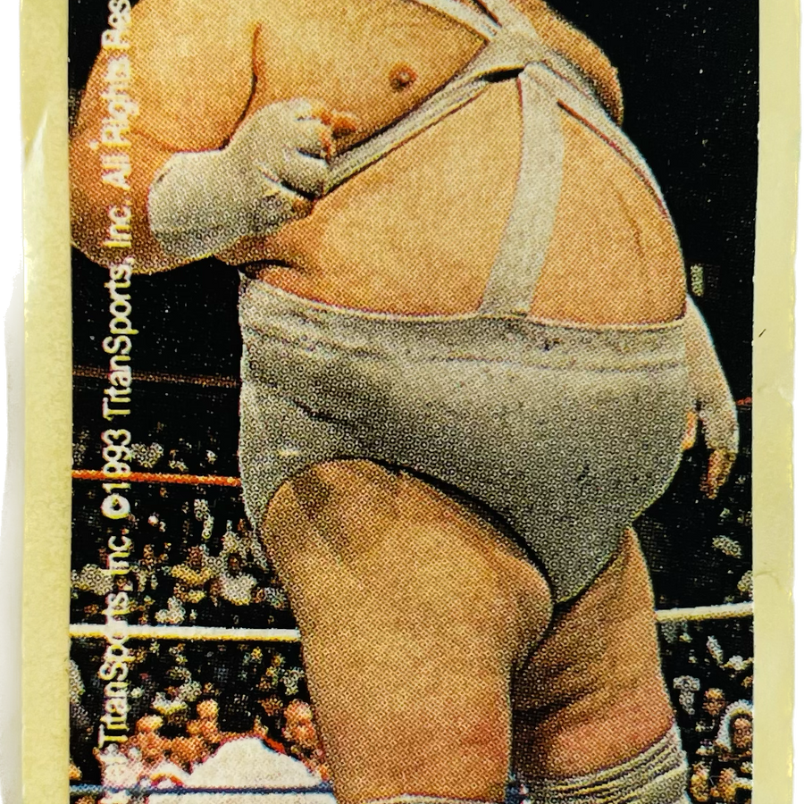 WWF Dunkin Bubble Gum Stickers (1993) No. 18 Bastion Booger PW Catalog