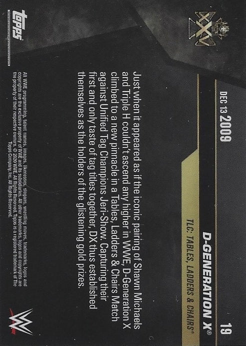 DEC 13 2009 – D-Generation X Wins the Unified WWE TAG Team Championship trading card PW Catalog