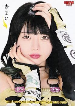 An Chamu trading card PW Catalog