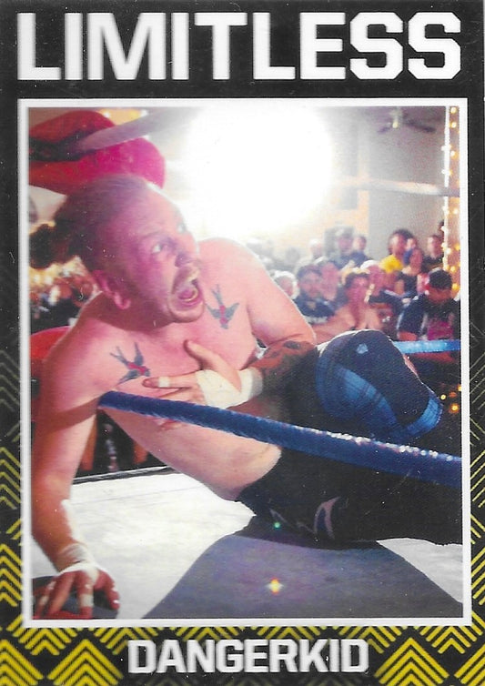 Dangerkid trading card PW Catalog