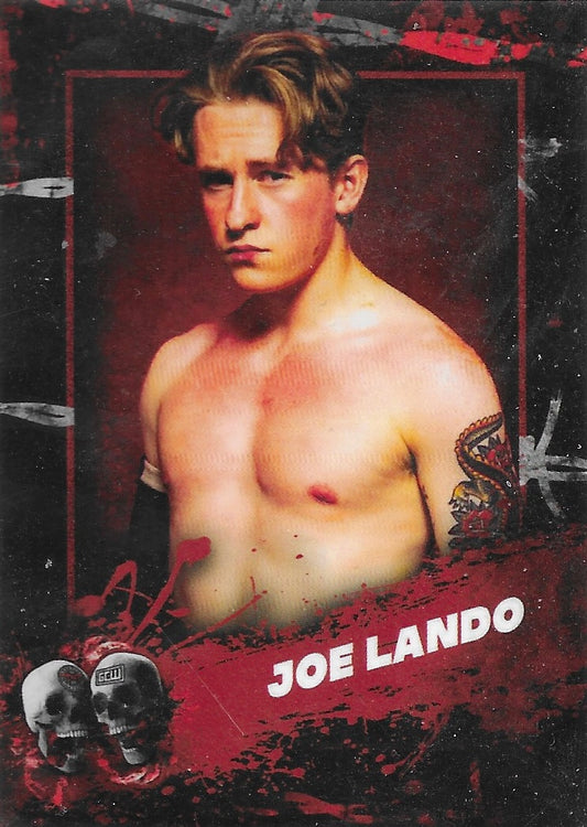 JOE Lando trading card PW Catalog