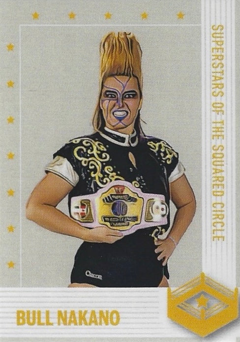Bull Nakano trading card PW Catalog