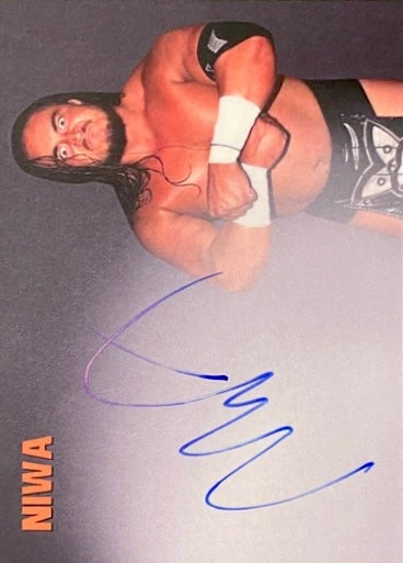 Niwa trading card PW Catalog