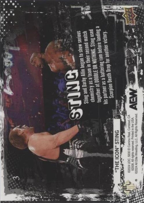 5/30/25 – Sting and Darby Allin Scored Their Second Win AS a Team at Double or Nothing
