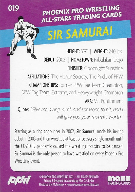 SIR Samurai - image 2
