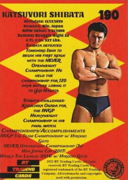 Katsuyori Shibata - image 2