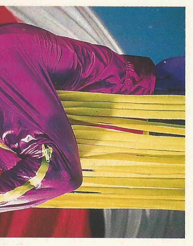 WWF Merlin Stickers 1991 Macho Man Randy Savage #190