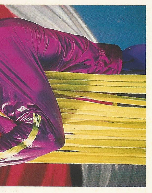 WWF Merlin Stickers 1991 Macho Man Randy Savage #190
