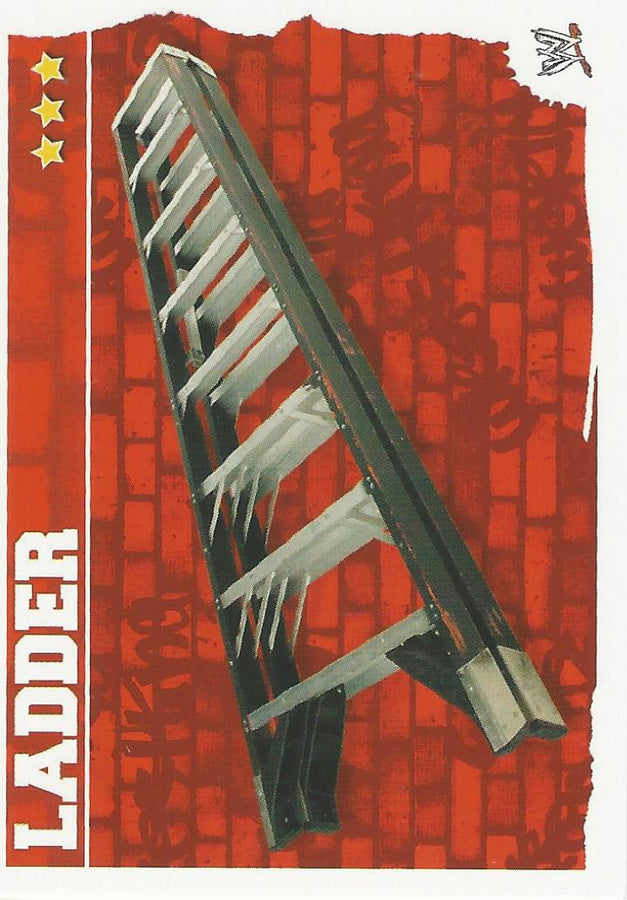 WWE Topps Slam Attax Mayhem 2010 #190