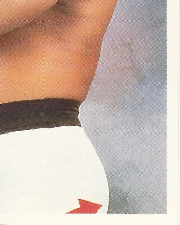 WWF Merlin Stickers 1992 Tatanka #190