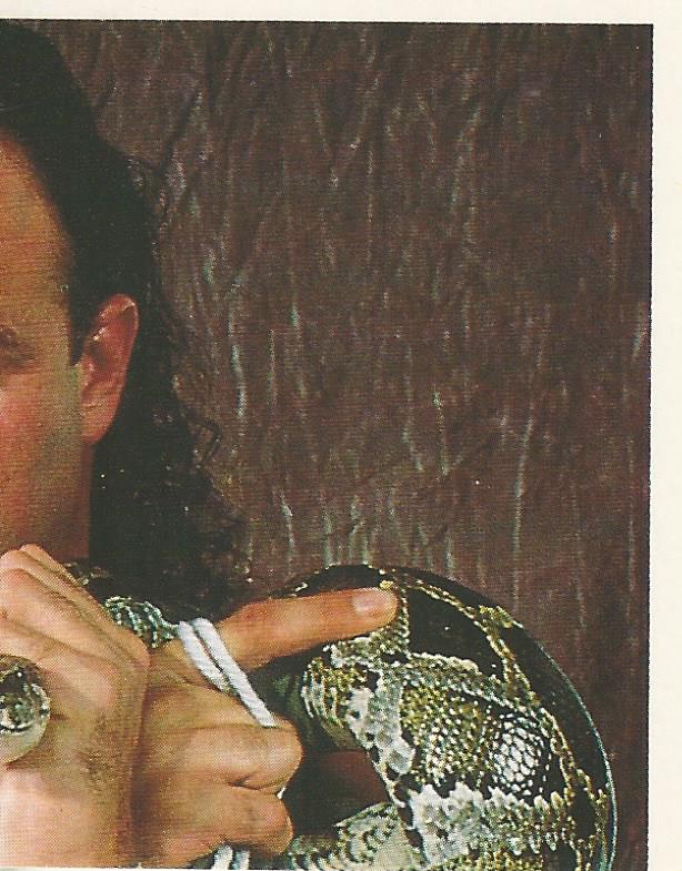 WWF Merlin Sticker Collection 1990 Jake the Snake Roberts #192