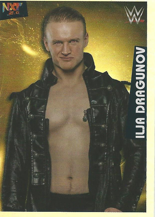 WWE Panini 2022 Sticker Collection Ilja Dragunov Foil #191