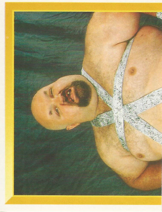 WWF Merlin Sticker 1994 Bastion Booger #192
