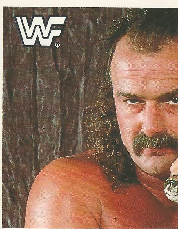 WWF Merlin Sticker Collection 1990 Jake the Snake Roberts #191