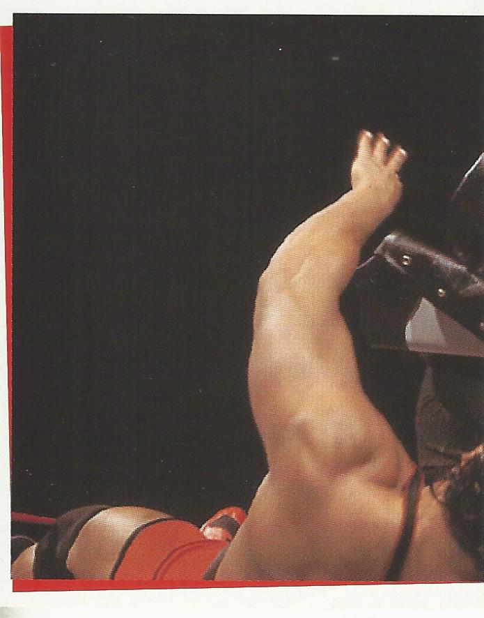 WWF Smackdown Stickers 2000 Viscera #192