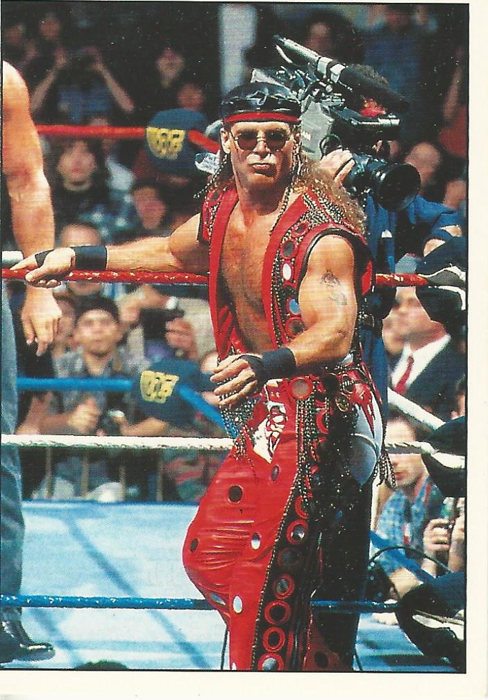 WWF Panini 1995 Sticker Collection Shawn Michaels #192