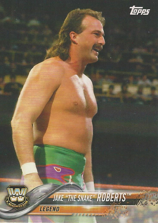 WWE Topps Then Now Forever 2018 Jake the Snake Roberts #193