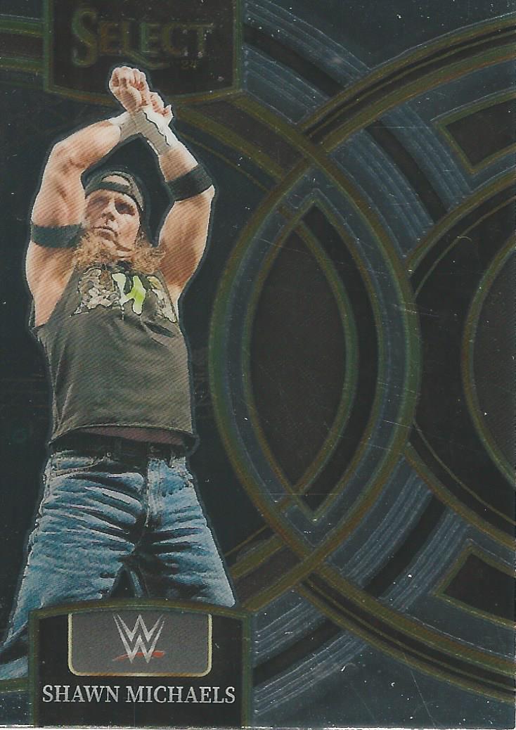 WWE Panini Select 2024 Shawn Michaels #194