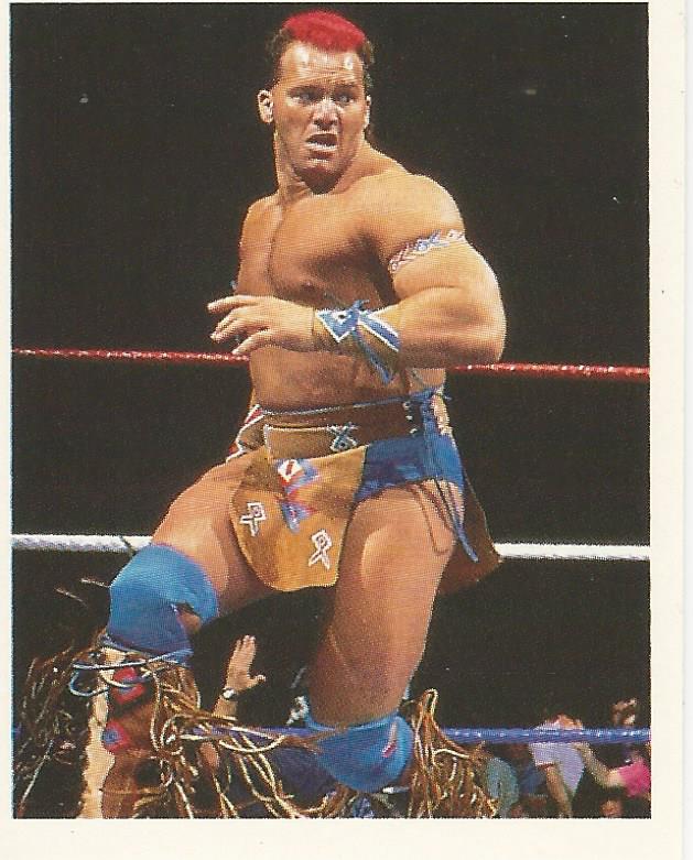 WWF Merlin Stickers 1992 Tatanka #194