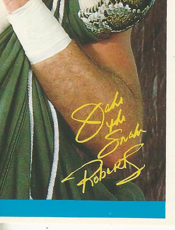 WWF Merlin Sticker Collection 1990 Jake the Snake Roberts #194
